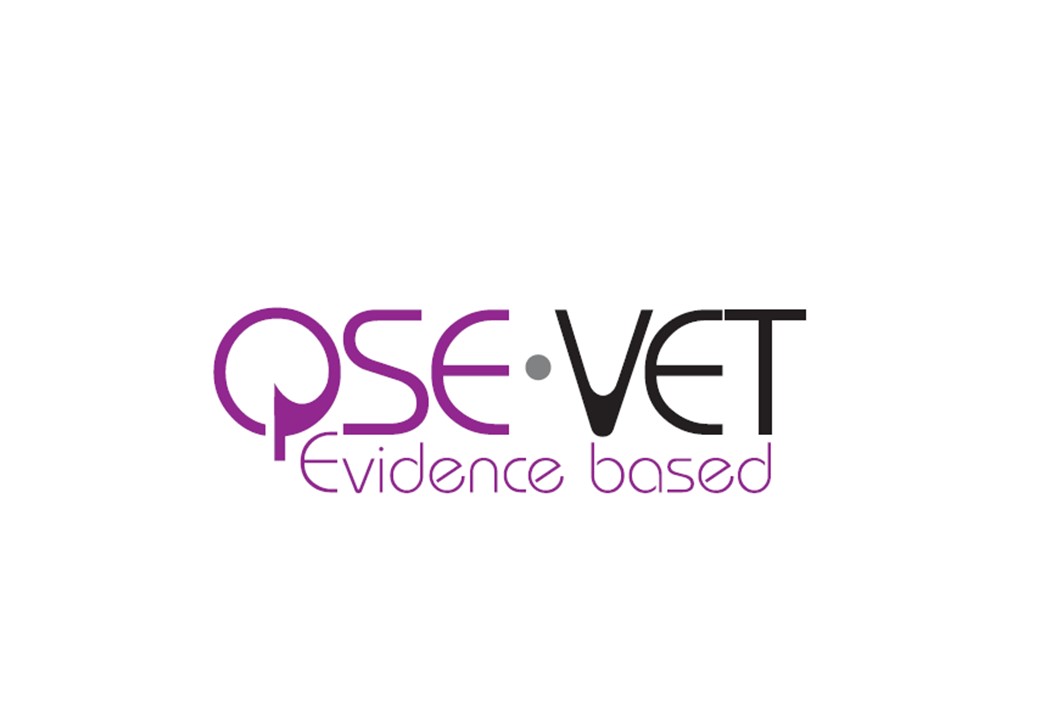 Icon for Conference on Evidence based VET 
