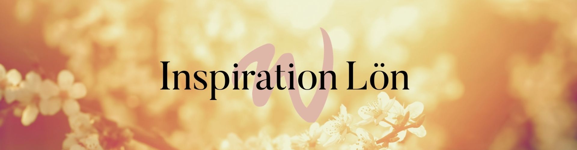 Huvudbild för Inspiration Lön 2021