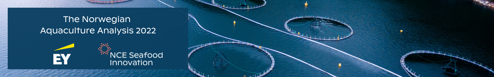 Header image for The Norwegian Aquaculture Analysis 2022