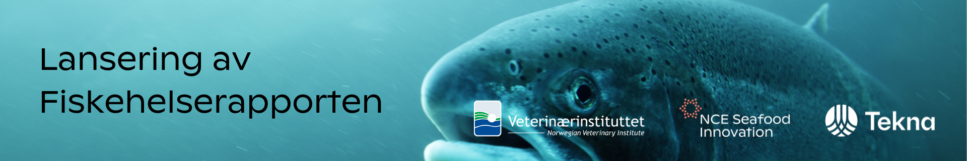 Toppbilde for Lansering av fiskehelserapporten