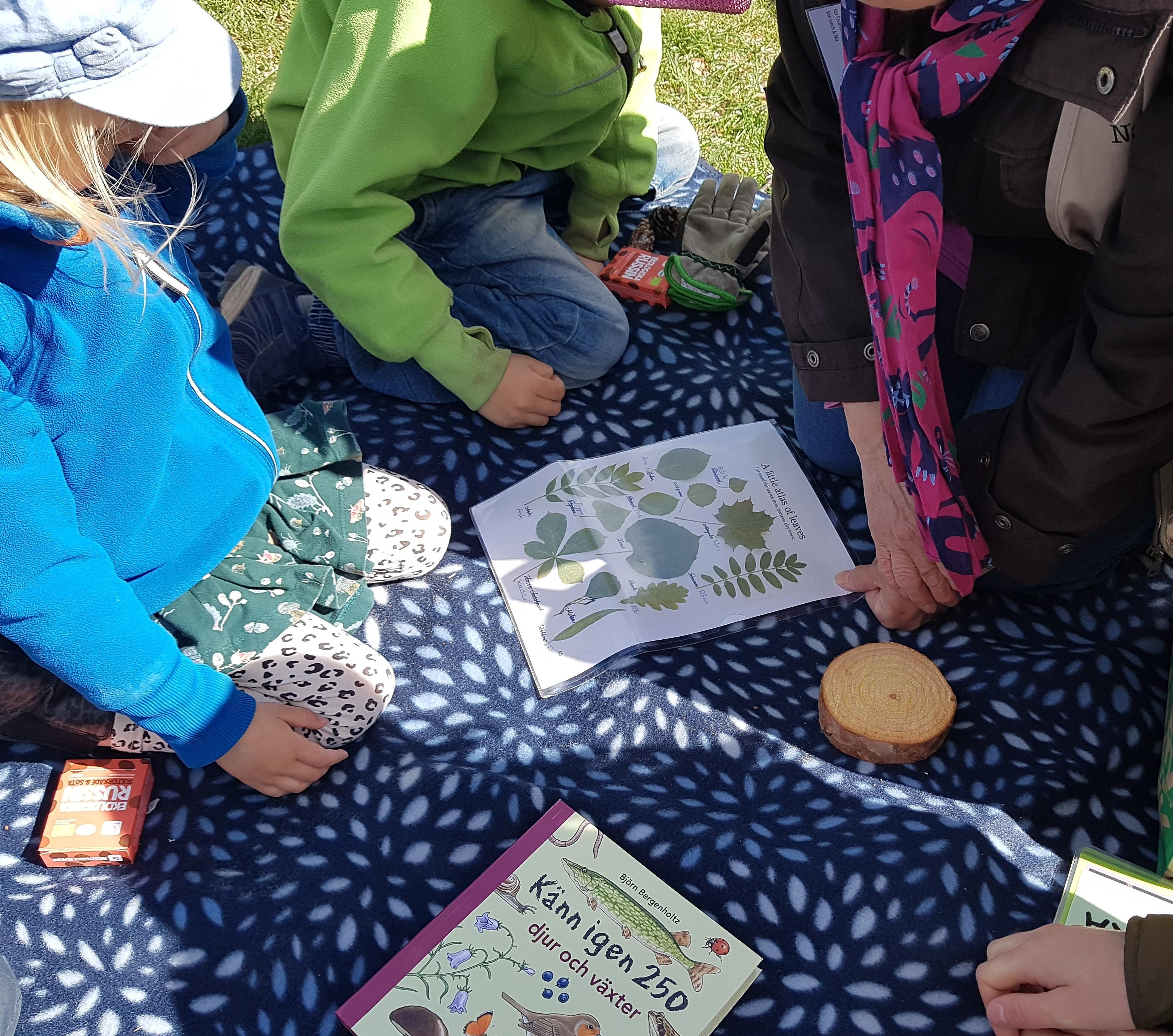 Bilden föreställer en grupp barn som siter med en snokledare på en filt och lär sig om växter.