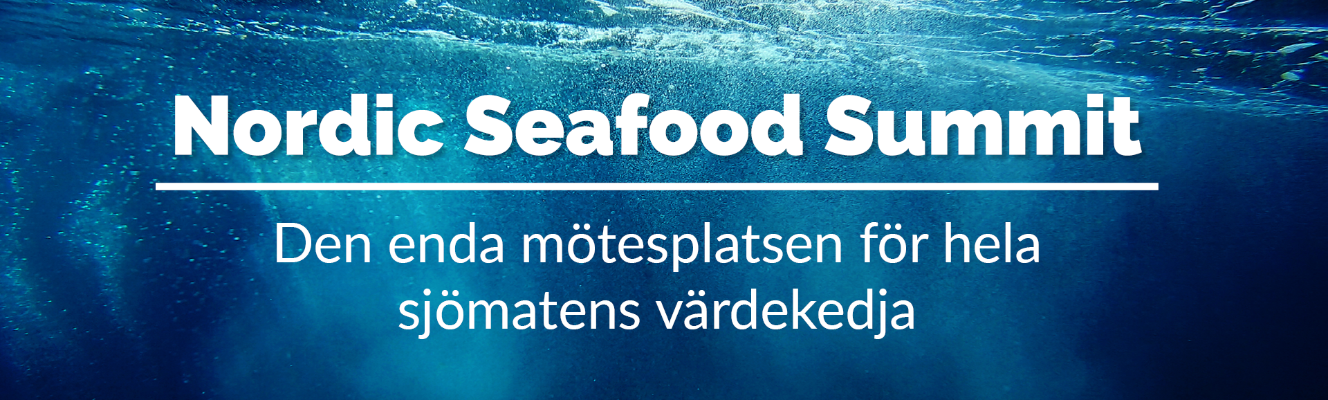 Huvudbild för Nordic Seafood Summit
