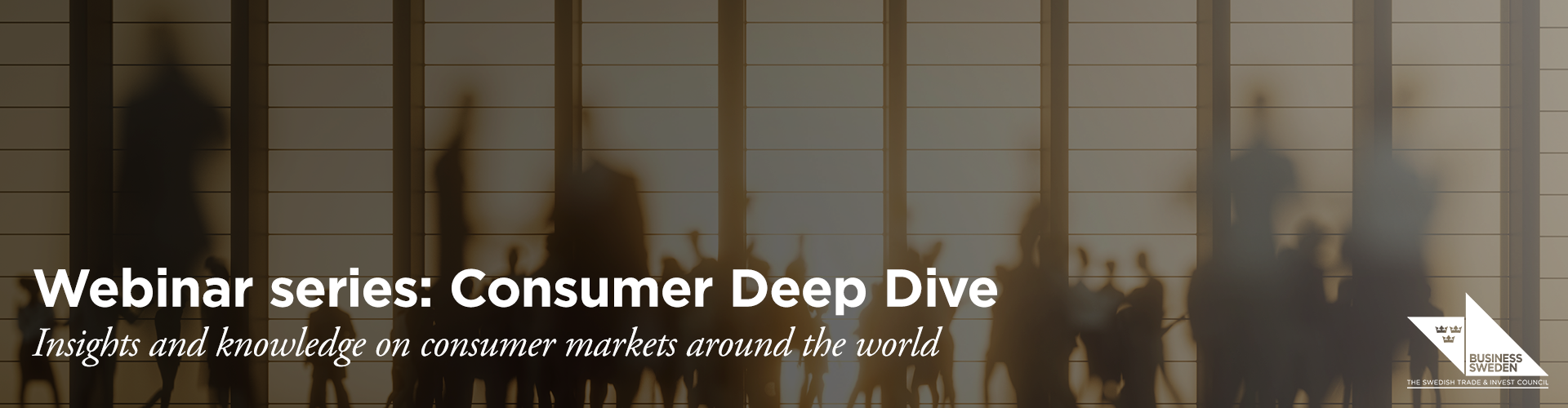 Header image for Consumer Deep Dive Sessions