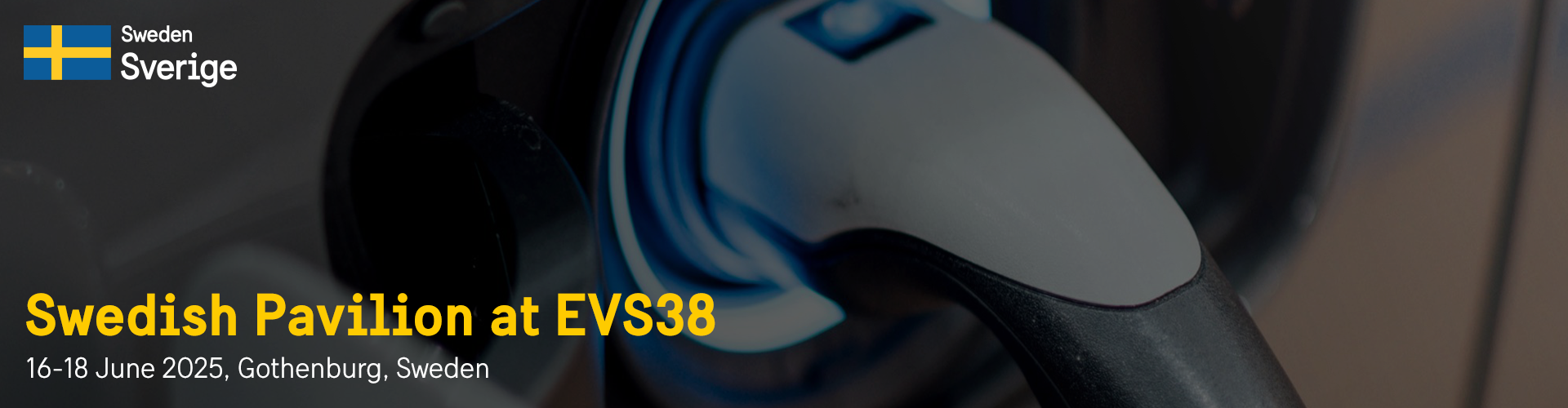 Header image for The Swedish Pavilion at EVS38