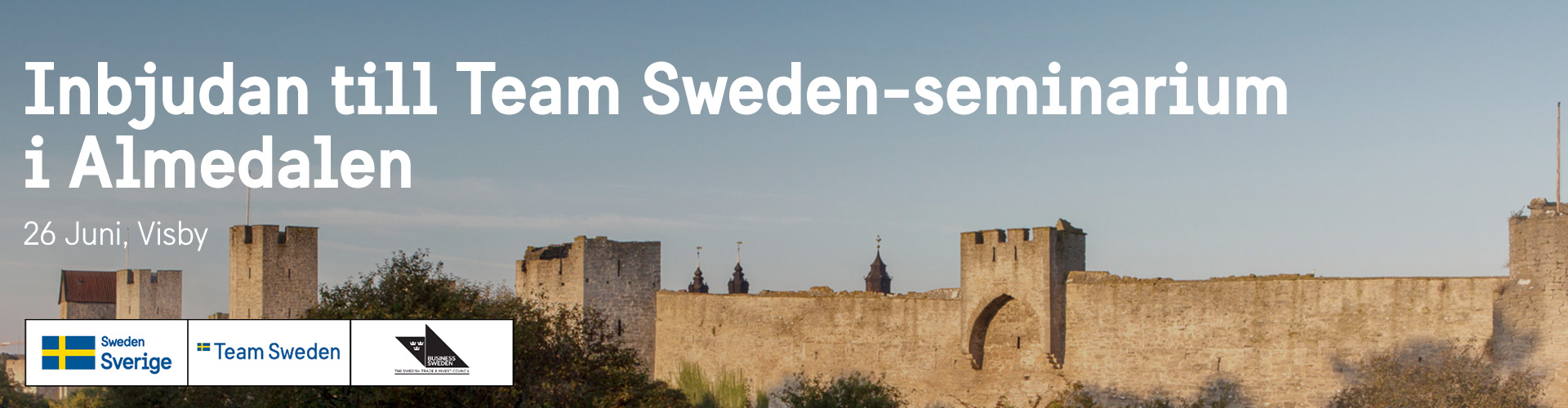 Huvudbild för Team Sweden-seminarium