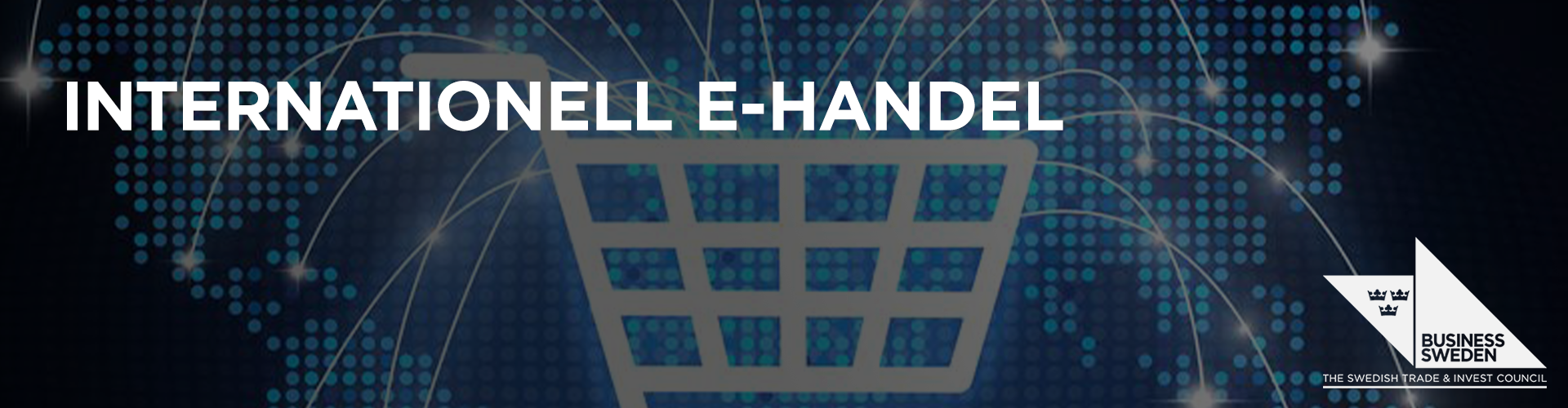Huvudbild för Internationell E-handel