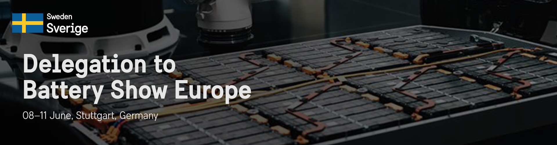 Header image for Delegation to Battery Show Europe in Stuttgart