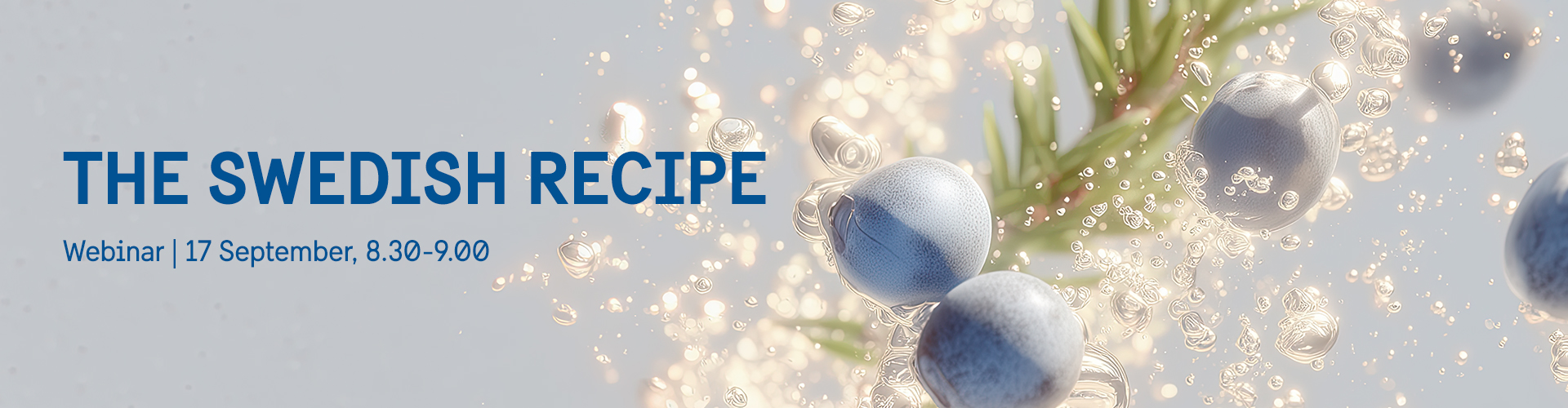 Header image for Webinar: The Swedish Recipe – A Platform for Promoting Swedish Food and Beverage