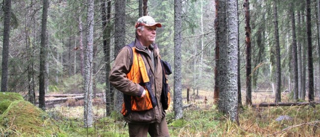 Profile image for Torbjörn Jansson