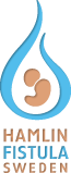 Profilbild för Stiftelsen Fistulasjukhuset