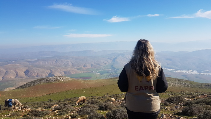 Profile image for Följeslagare EAPPI