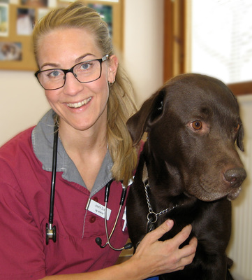 Profilbild för Josefin Söder