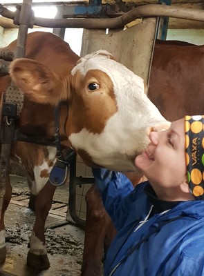 Profilbild för Veterinärens roll i en hållbar mjölkproduktion