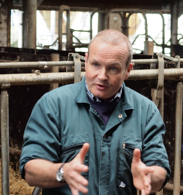 Profile image for Optimal milking from the cows perspective 1