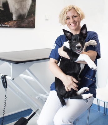 Profilbild för Linda Toresson