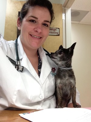 Profile image for What are you missing? The value of larger in-house chemistry panels. 