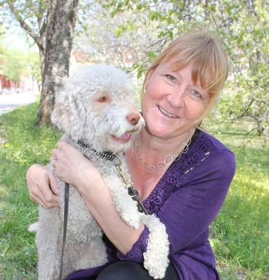 Profile image for Presentation av utförda/pågående utvecklingsarbeten inom djuromvårdnad - Rehabilitering