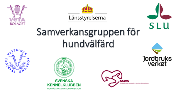 Profile image for Samverkansgruppen för hundvälfärd