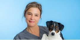 Profile image for Laboratory Diagnostics for the Emergency Patient