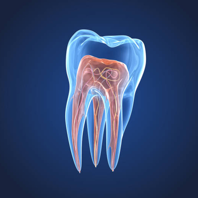 Profilbild för Hållbar endodonti – gör rätt från början