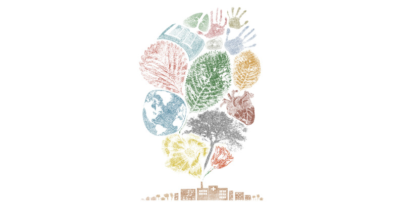 Profile image for Decarbonising healthcare