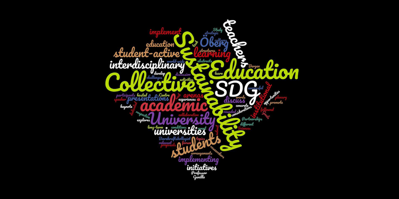 Profile image for Embedding sustainability in academic cultures and activities