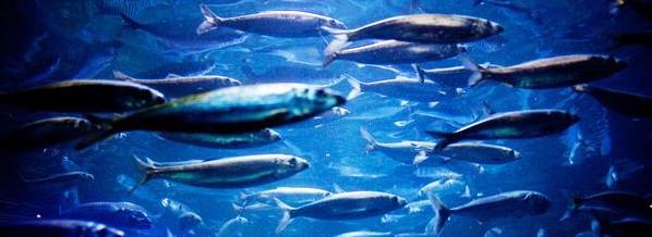 Profile image for PARALLEL SESSION 6