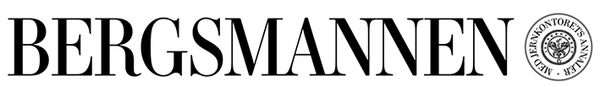 Profile image for Bergsmannen