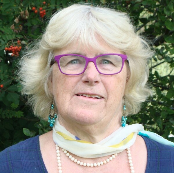 Profilbild för Karin Fridell Anter