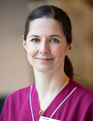 Profilbild för Lena Ström