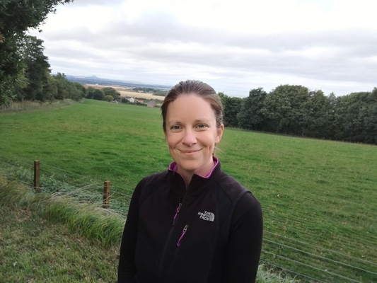 Profilbild för Precision livestock farming – challenges and opportunities for animal welfare