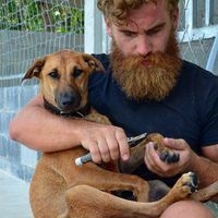 Profile image for John Greve