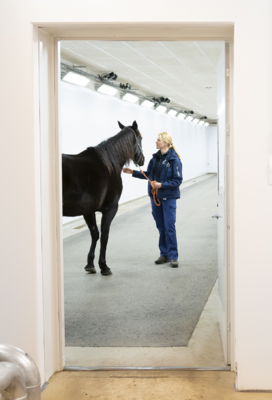 Profile image for Elin Hernlund