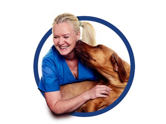 Profile image for Tekniken som förenklar djurtandvården