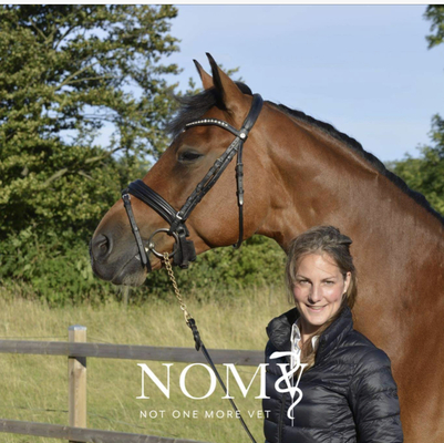 Profile image for Andrea Berglund