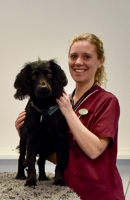 Profilbild för Stainless steel wire in a figure-of-eight for repair of distal femoral physeal fractures in ten cats – a case report