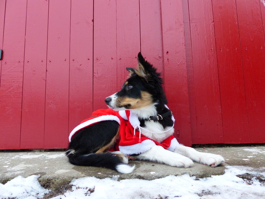 Profile image for DSS Kandidat arbete