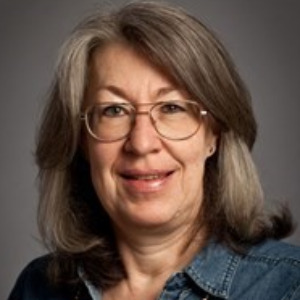 Profile image for Cascading disasters: how to design resilient crisis-management institutions and organizations?