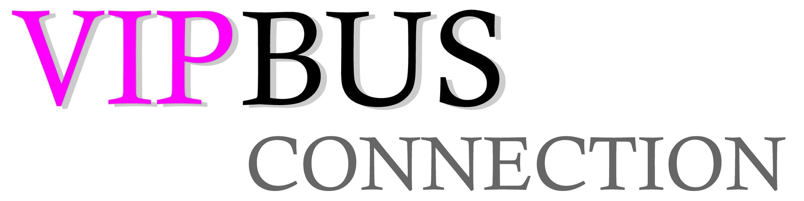 Profile image for VIP Bus Connection GmbH & Co. KG