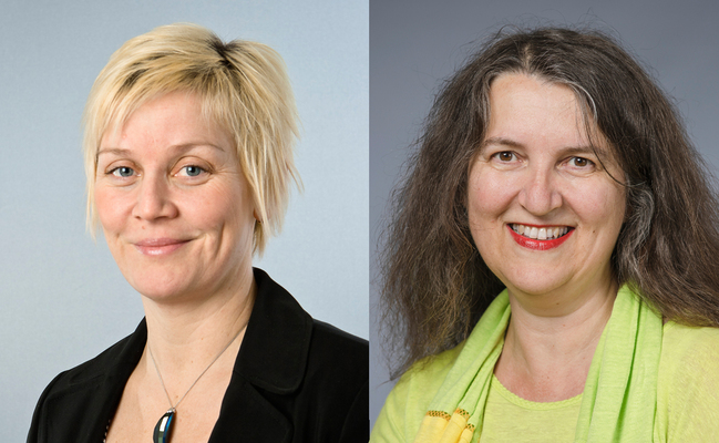 Profilbild för La littérature française en traduction et dans la classe : de la bd aux classiques