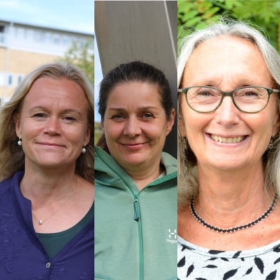 Profilbild för Nikotin är farligt även om det smakar ”Hubba bubba” eller melon. Hälsa för alla barn och unga i Västerbotten.