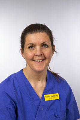 Profile image for Linda Hallberg