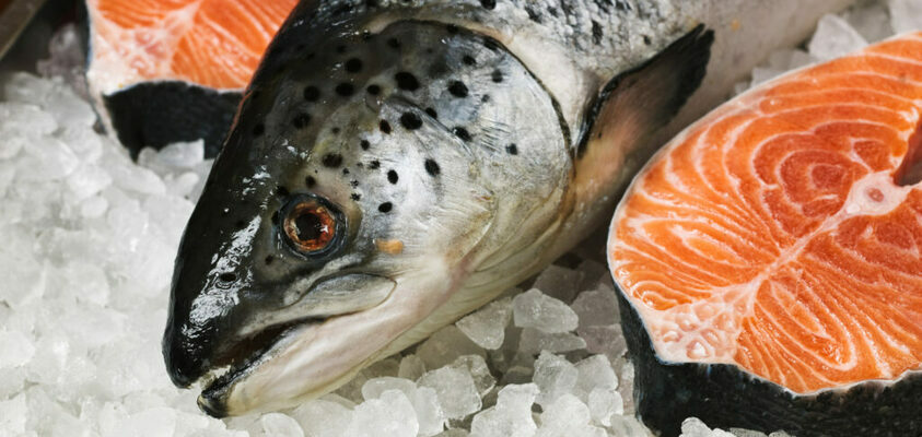 Profile image for Aquaculture & Salmon Market & Production