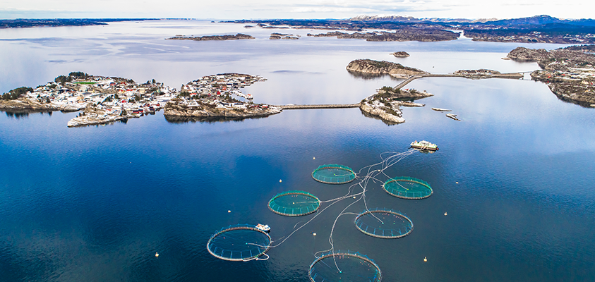 Profile image for Global Aquaculture Summit