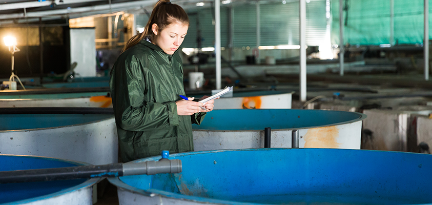 Profile image for Women in Seafood; Gender equality - key to business success