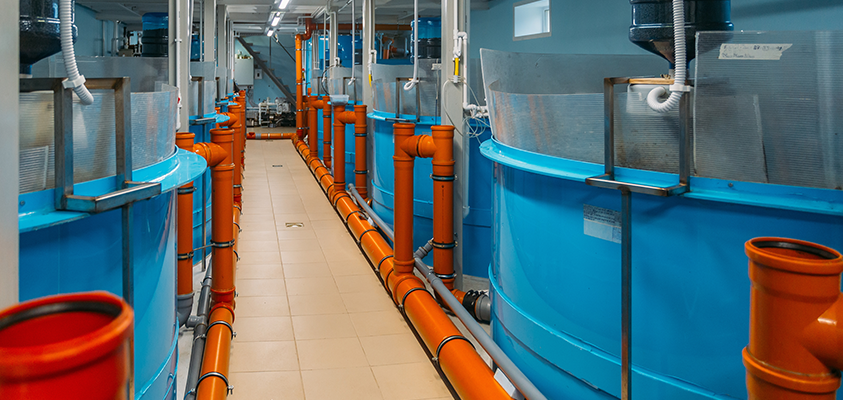 Profile image for Land based fish farming - why manage risk