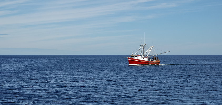 Profile image for NASF Sustainability Seminar