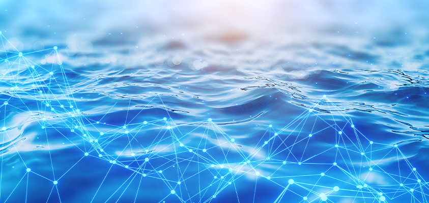 Profile image for Seafood Connect: Ocean Future 2050