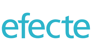 Profile image for Efecte