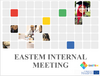 Profile image for Internal EASTEM Project Meeting 